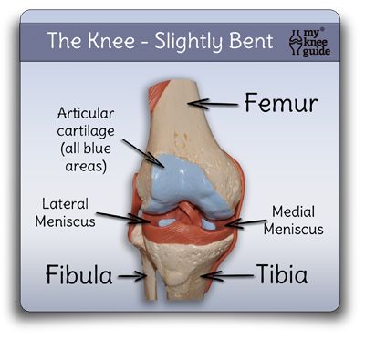 Soccer Knee Injury