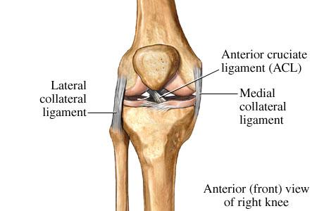 Medial Collateral Ligament Injury