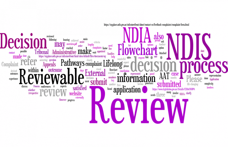 NDIS review process
