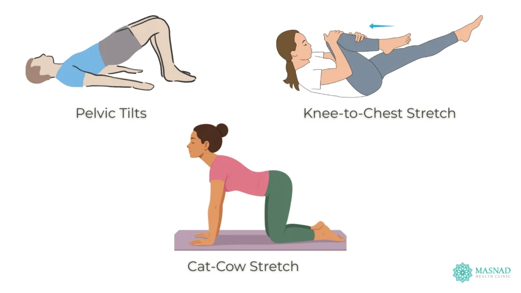 Exercises for Low Back Pain