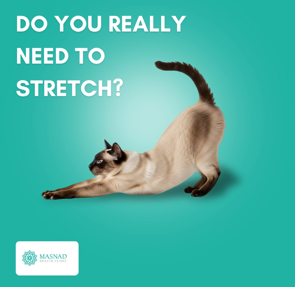stretch