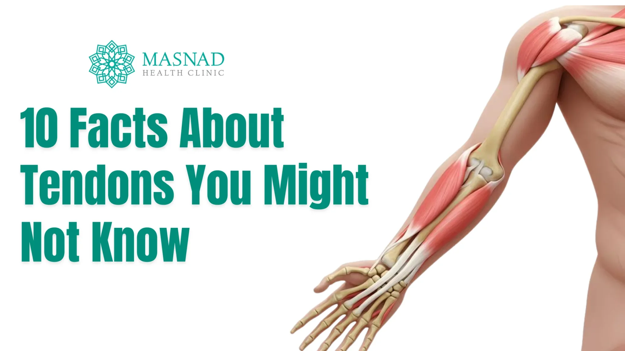 10 Facts About Tendons You Might Not Know