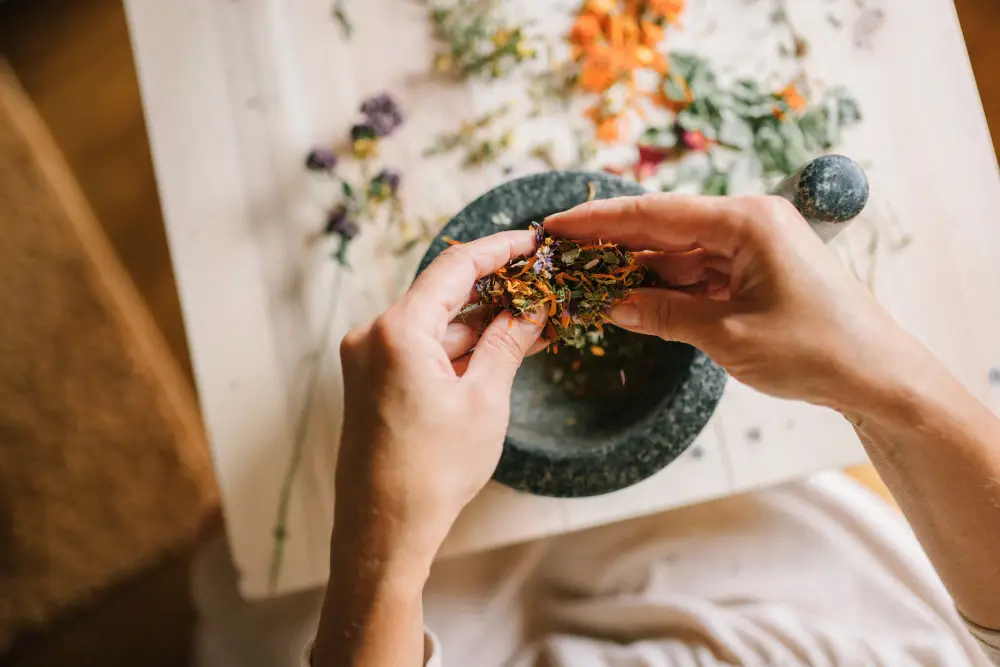 Herbal medicine consultation in naturopathy clinic Bankstown
